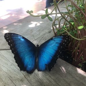 Meet your Posher, Elena